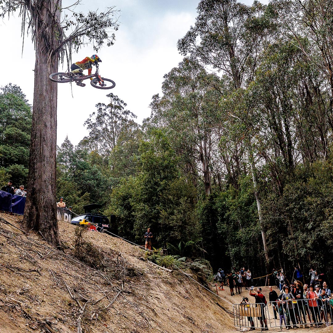 Elevated Future — Lemonade